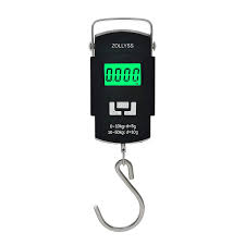 Digital Weight Scale!